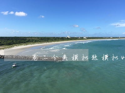 卷二分类模拟题模拟43 卷二分类模拟题模拟43