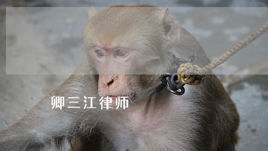 卿三江律师 卿三江律师