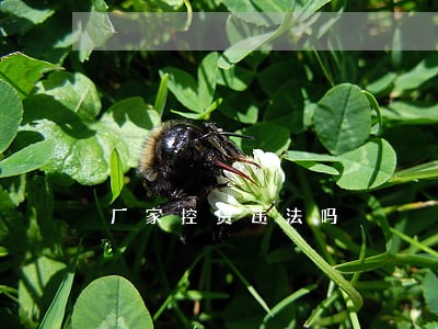 厂家控货违法吗 厂家控货违法吗
