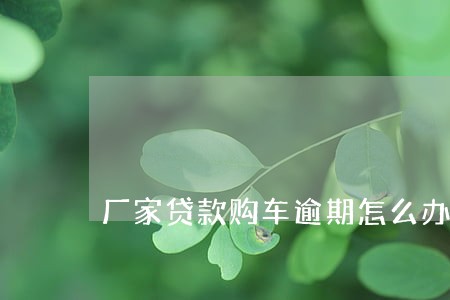 厂家贷款购车逾期怎么办