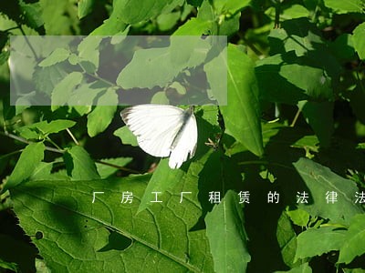 厂房工厂租赁的法律法规 厂房工厂租赁的法律法规