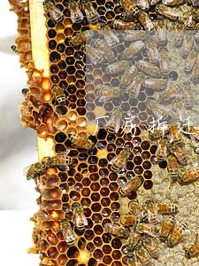 厂房拆迁律师咨询征收 厂房拆迁律师咨询征收