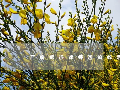 厂房拆迁律师咨询收费 厂房拆迁律师咨询收费