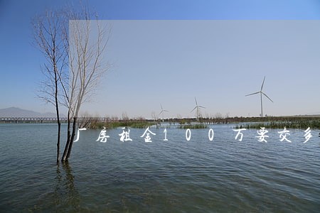 厂房租金100万要交多少税 厂房租金100万要交多少税
