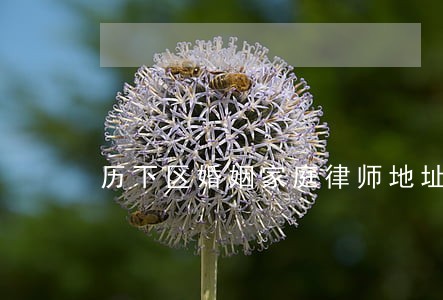 历下区婚姻家庭律师地址 历下区婚姻家庭律师地址