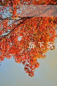 历下区法律顾问招标 历下区法律顾问招标