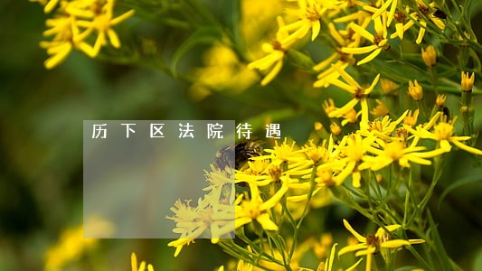 历下区法院待遇 历下区法院待遇