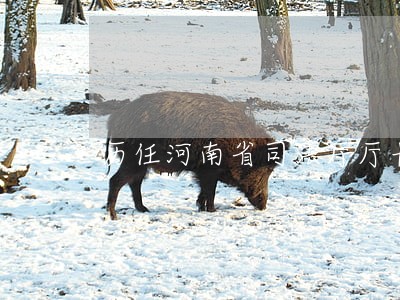 历任河南省司法厅厅长