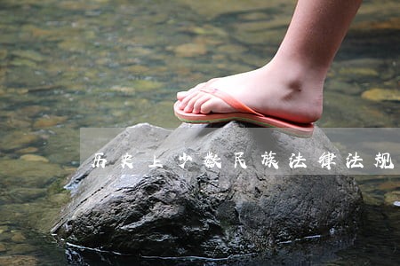 历史上少数民族法律法规 历史上少数民族法律法规