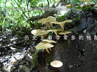 历史上有非常多的残酷刑法 历史上有非常多的残酷刑法
