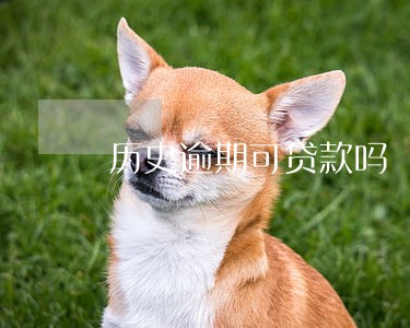 历史逾期可贷款吗 历史逾期可贷款吗