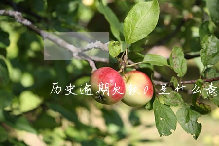 历史逾期欠款0是什么意思 历史逾期欠款0是什么意思