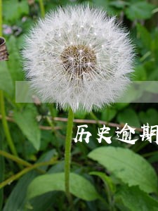历史逾期记录10次 历史逾期记录10次