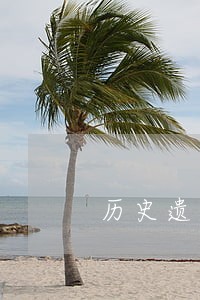 历史遗留违法建筑房屋合同有效吗 历史遗留违法建筑房屋合同有效吗