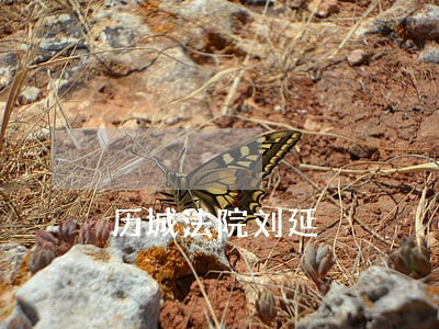 历城法院刘延 历城法院刘延