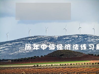 历年中级经济法练习题8336 历年中级经济法练习题8336
