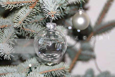历年中级经济法重点题16916