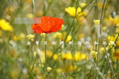 历年司法考试国际私法真题下载 历年司法考试国际私法真题下载