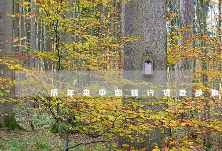 历年来中国银行贷款逾期利息 历年来中国银行贷款逾期利息
