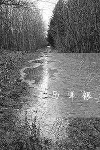 历年银行逾期利率 历年银行逾期利率