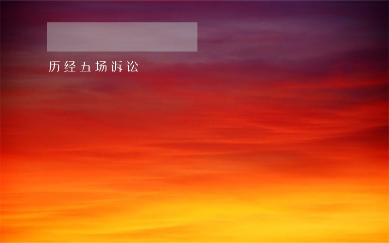 历经五场诉讼 历经五场诉讼