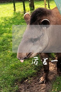 厉害一点的律师一场多少钱 厉害一点的律师一场多少钱