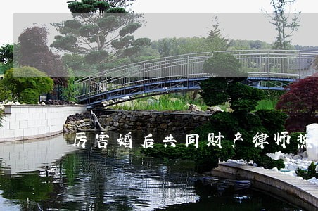 厉害婚后共同财产律师热线 厉害婚后共同财产律师热线