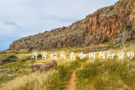 厉害的买卖合同纠纷律师联系方式 厉害的买卖合同纠纷律师联系方式