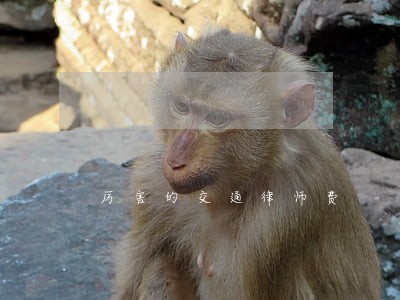 厉害的交通律师费 厉害的交通律师费