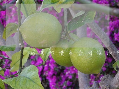 厉害的债务合同律师咨询费用 厉害的债务合同律师咨询费用