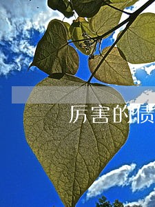 厉害的债权转让律师费用标准 厉害的债权转让律师费用标准