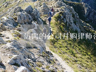 厉害的公司并购律师咨询电话 厉害的公司并购律师咨询电话