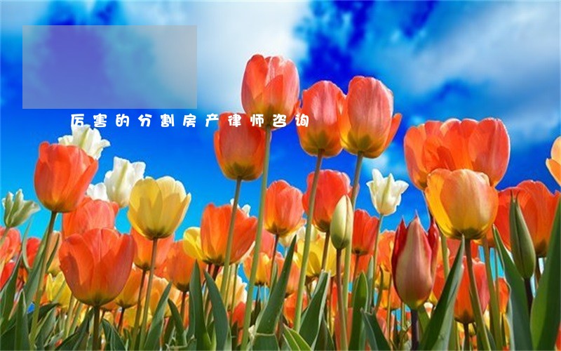 厉害的分割房产律师咨询 厉害的分割房产律师咨询