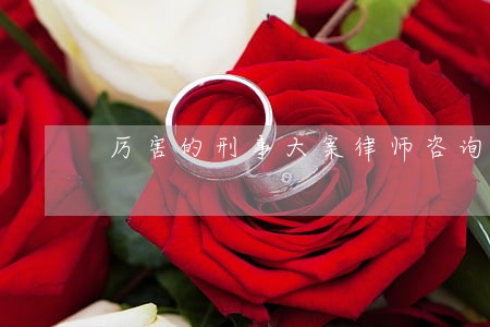 厉害的刑事大案律师咨询电话 厉害的刑事大案律师咨询电话