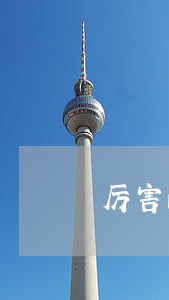厉害的刑事大案律师哪个好 厉害的刑事大案律师哪个好