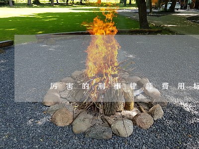 厉害的刑事律师费用标准 厉害的刑事律师费用标准