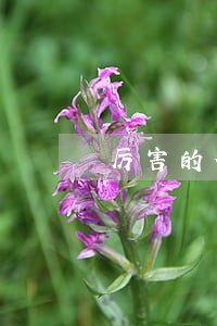 厉害的合同审查律师费用标准 厉害的合同审查律师费用标准