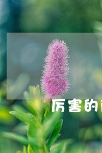 厉害的商品房合同纠纷律师收费 厉害的商品房合同纠纷律师收费