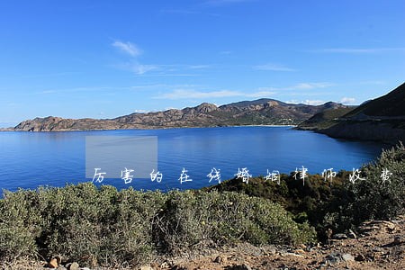 厉害的在线婚姻律师收费标准 厉害的在线婚姻律师收费标准