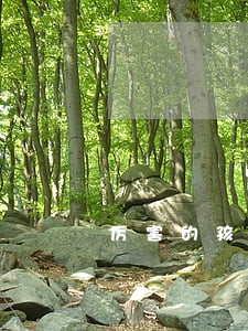 厉害的孩子抚养权律师免费咨询 厉害的孩子抚养权律师免费咨询