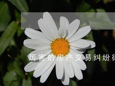 厉害的房产交易纠纷律师 厉害的房产交易纠纷律师
