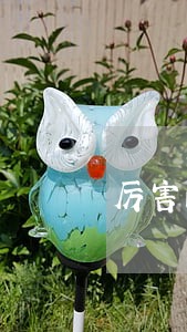 厉害的房产合同律师哪里找 厉害的房产合同律师哪里找