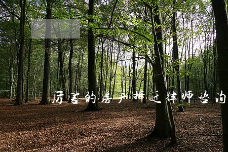 厉害的房产拆迁律师咨询网站 厉害的房产拆迁律师咨询网站