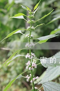 厉害的房地产专业律师 厉害的房地产专业律师