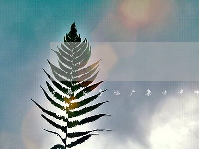 厉害的房地产案件律师 厉害的房地产案件律师