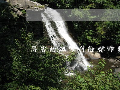 厉害的担保纠纷律师费用 厉害的担保纠纷律师费用