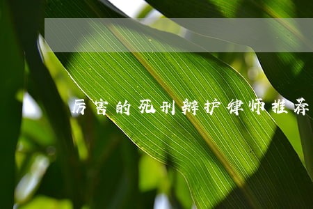 厉害的死刑辩护律师推荐 厉害的死刑辩护律师推荐