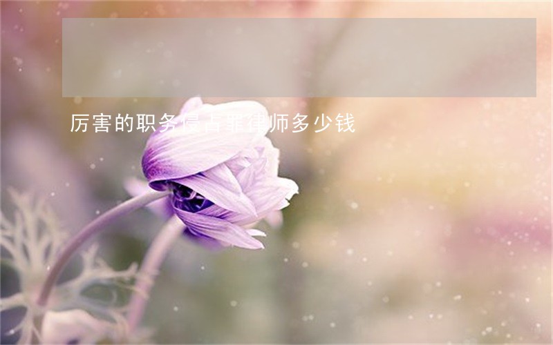 厉害的职务侵占罪律师多少钱 厉害的职务侵占罪律师多少钱