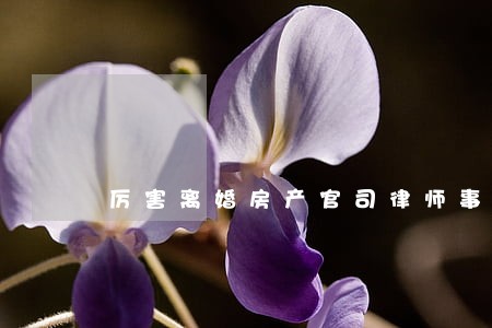 厉害离婚房产官司律师事务所 厉害离婚房产官司律师事务所