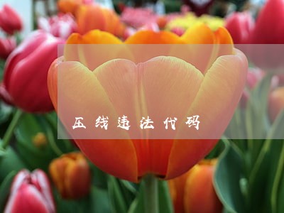 压线违法代码 压线违法代码